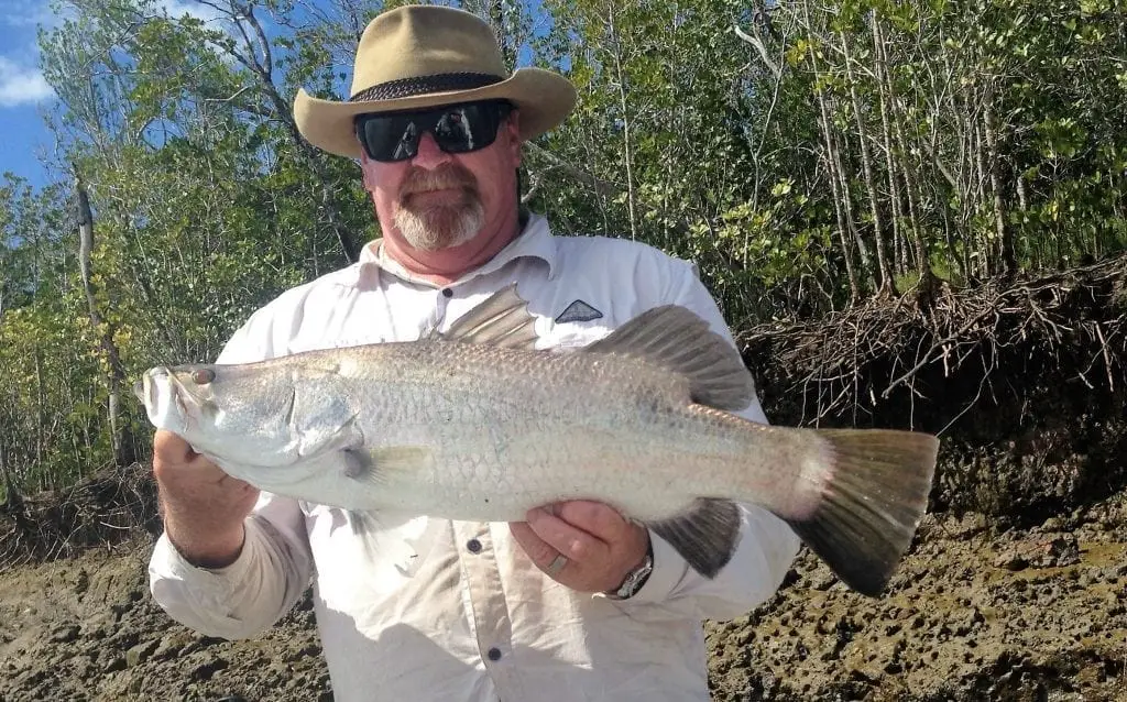 An NT Barramundi