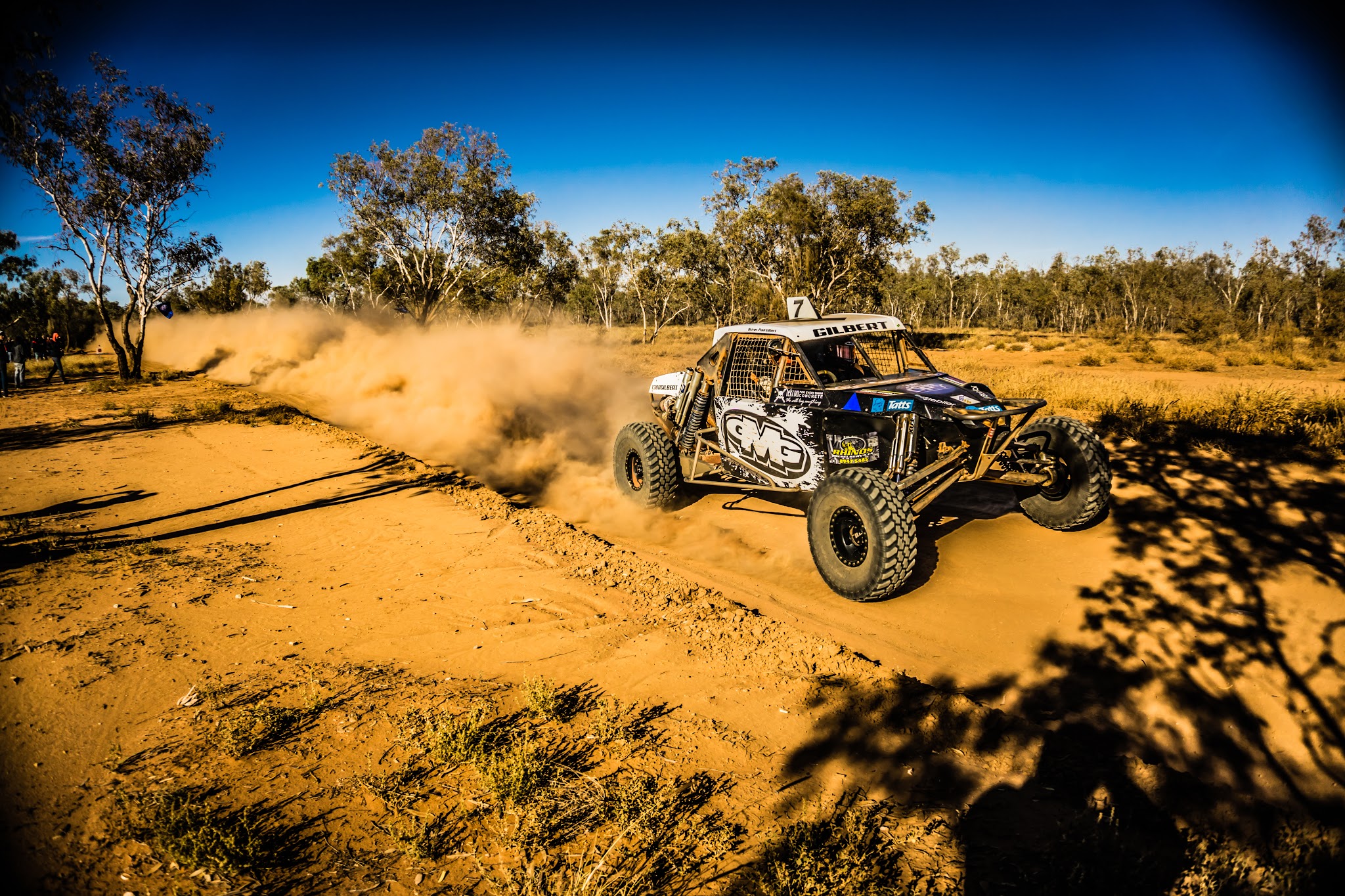 finke buggy for sale