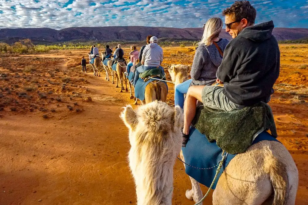 Just checking Just checking the camel tour