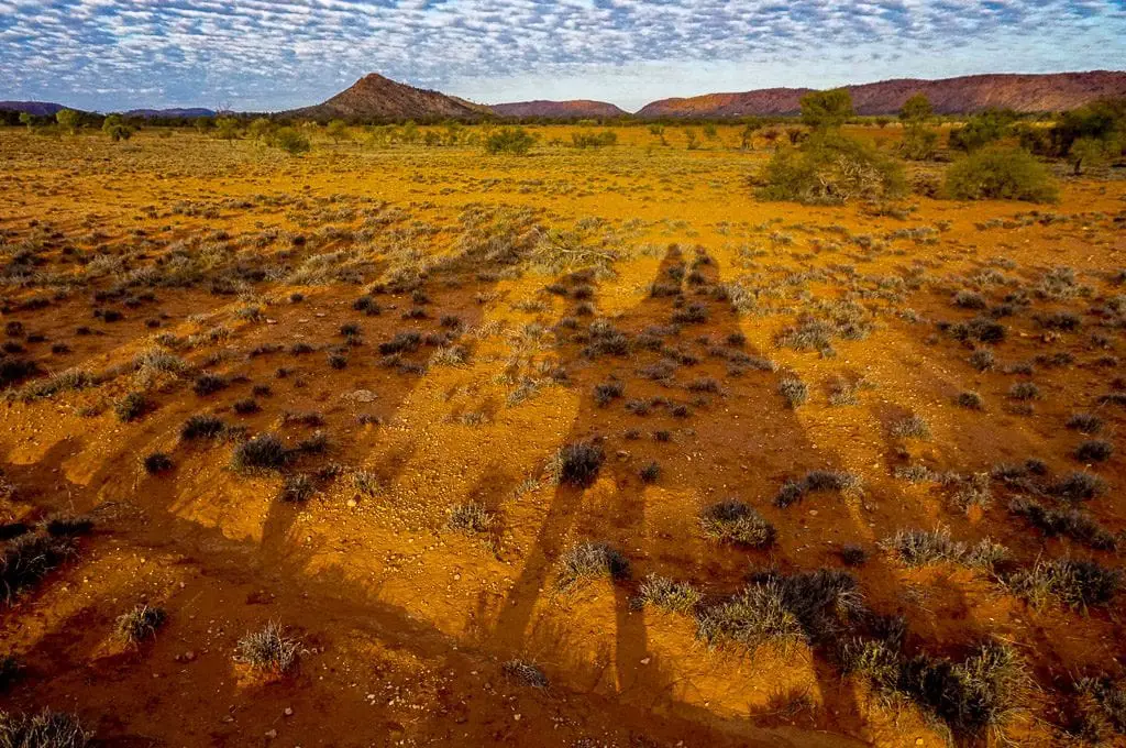 camel tour shadows Camel Tour shadows
