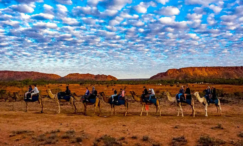 camel tour against Ilparpa Ranges the camel tour against Ilparpa Ranges