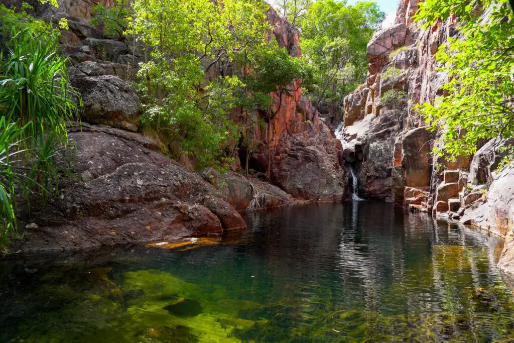 Territorio del Norte de Australia